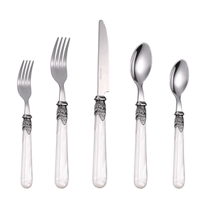 Cathylin 20 Piece Cutlery Set Stainless Steel Flatware with Acrylic Handle