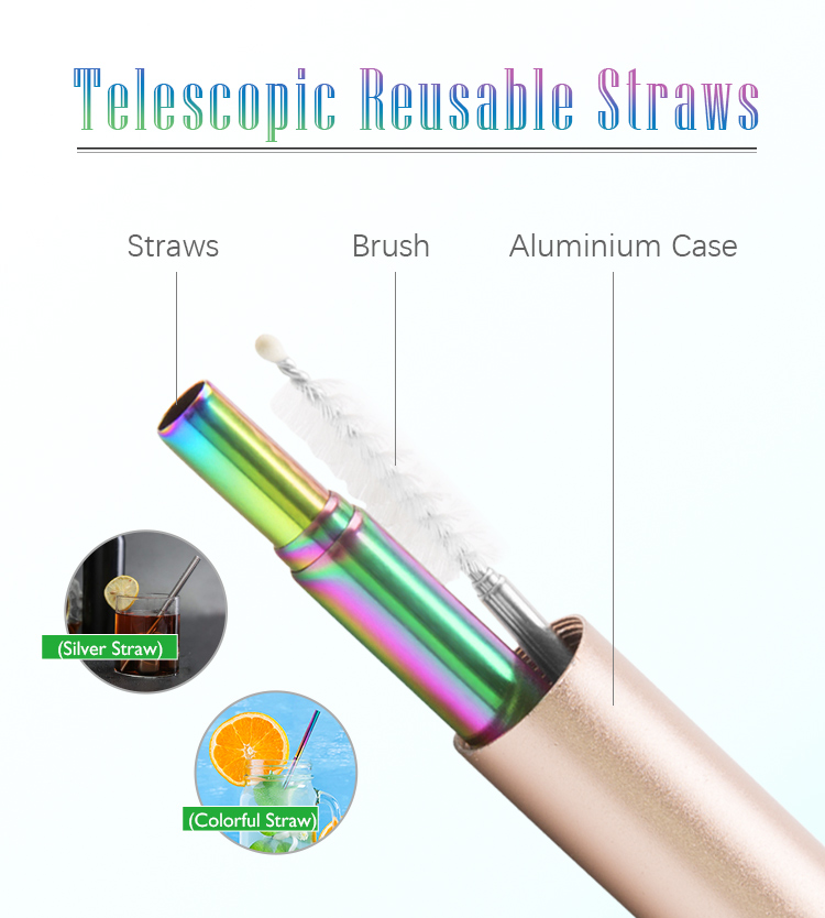 Reusable Metal Stainless Steel Collapsible Drinking Straw Set with Case And Bottle Opener
