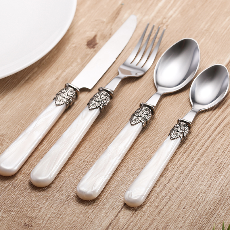 Cathylin 20 Piece Cutlery Set Stainless Steel Flatware with Acrylic