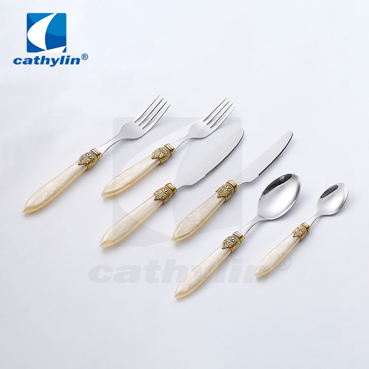 Cathylin Acrylic Handle Cutlery Set for Restaurant Stainless Steel Tableware Set for Home